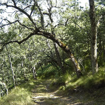 Ferienhaus Carriles Romanos