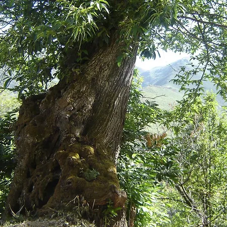 Carriles Romanos Odollo