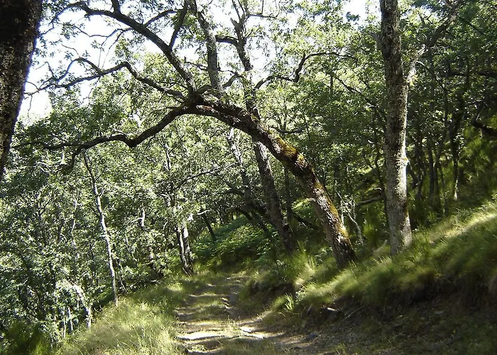 Tatil Evi Carriles Romanos