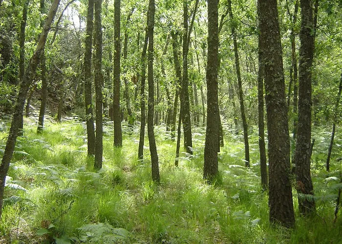 Carriles Romanos Tatil Evi *